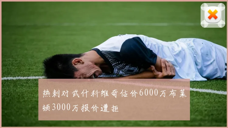 热刺对武什科维奇估价6000万布莱顿3000万报价遭拒