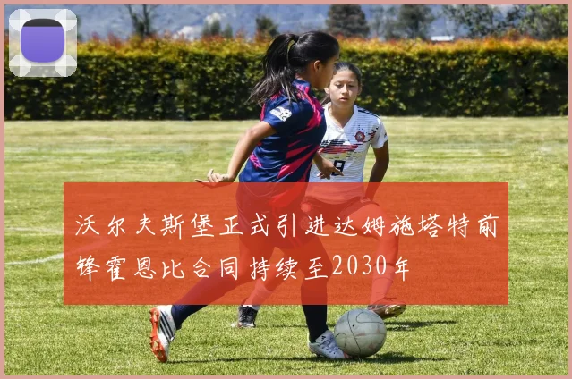 沃尔夫斯堡正式引进达姆施塔特前锋霍恩比合同持续至2030年